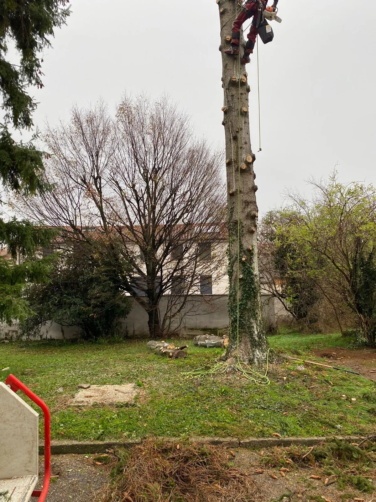Chantier réalisé par Green Services — 12