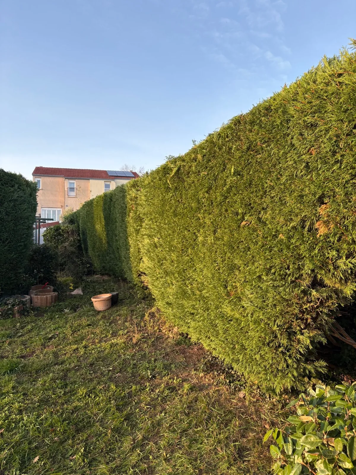 Chantier réalisé par Green Services — 11